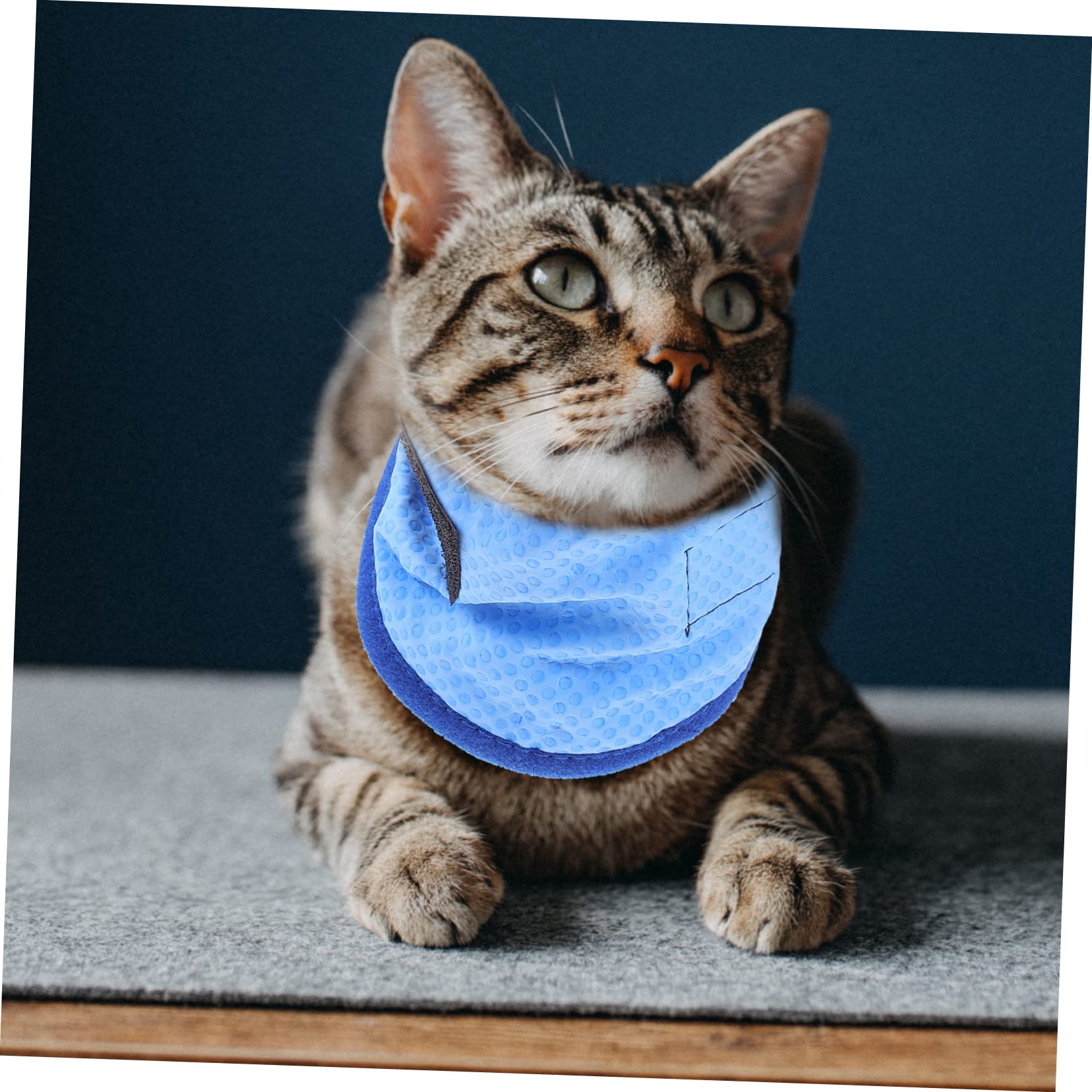 BESPORTBLE 4pezzi Collare Rinfrescante per Cani Bandana Estiva Traspirante per attività all Aperto Perfetta per Passeggiate e Giochi con Tuo Zampe