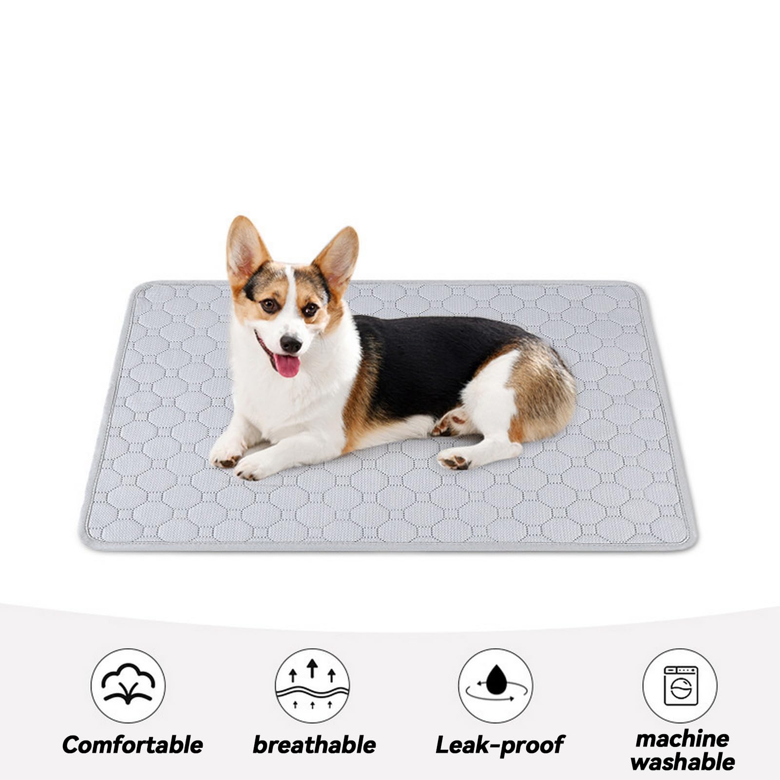 Tappetini Lavabili Igienici per Cani, Riutilizzabili Educatore Tappetino Pads per Cuccioli, Assorbente Addestramento Traversine Cachi, 90 x 150 cm