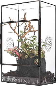 NCYP Glass Enclosure for Large Jumping Spider - 5.1" x 3.9" x 9" Front Opening Door Glass Terrarium with 3 Vent Holes, Small Snail, Insects Habitat, Black Terrarium Only