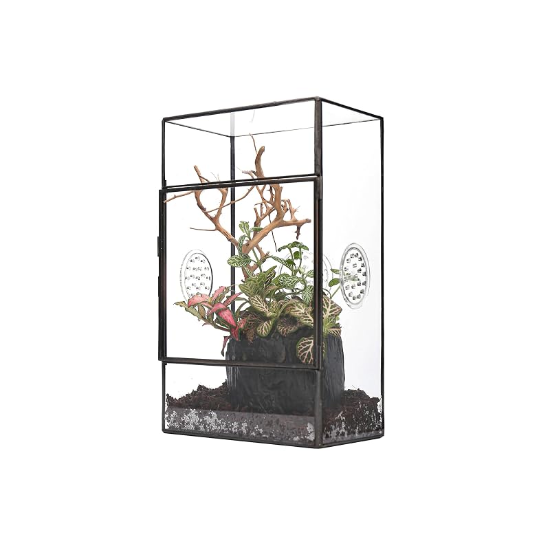 Terrário de Vidro para Aranhas-Saltadoras NCYP com Porta e 3 Ventilações, Preto, 13 x 10 x 23 cm