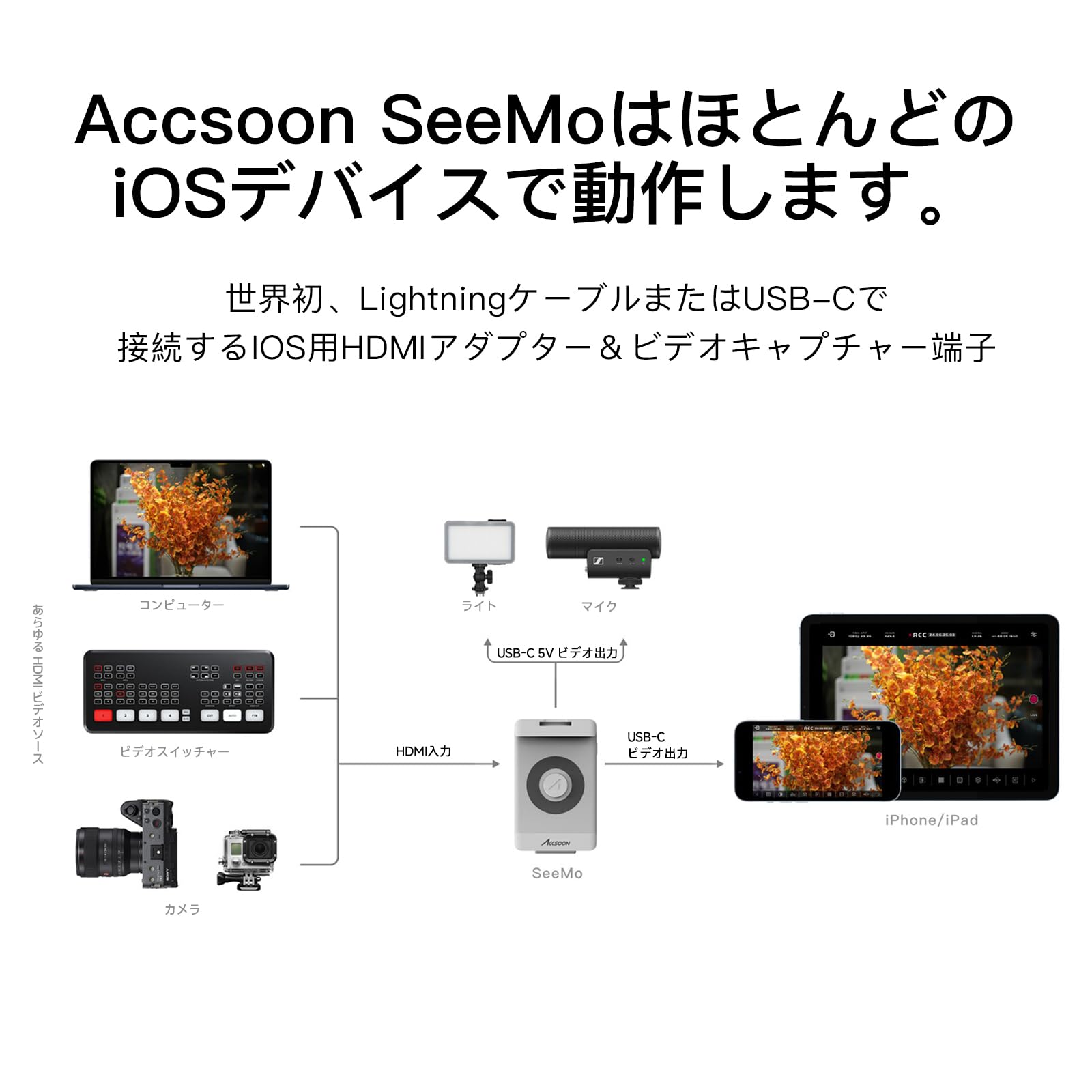 Amazon.co.jp: 【Accsoon公式ストア】Accsoon SeeMo HDMIビデオ