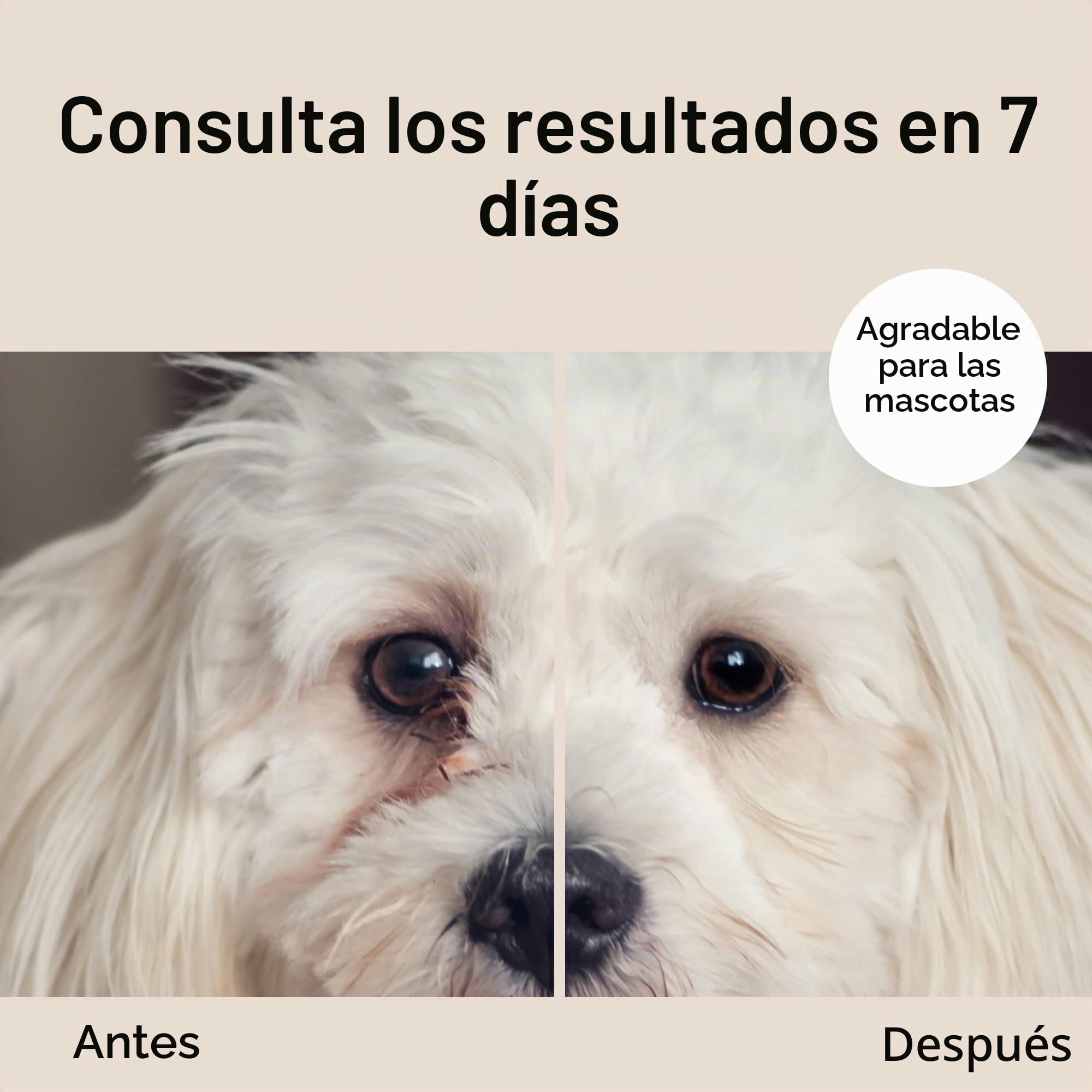Eye Envy Tear Stain Wipes para perros | Texturizado para limpiar suavemente | Remojado en fórmula 100% natural | Recomendado por criadores, veterinarios y peluqueros de AKC | Trata la causa de las