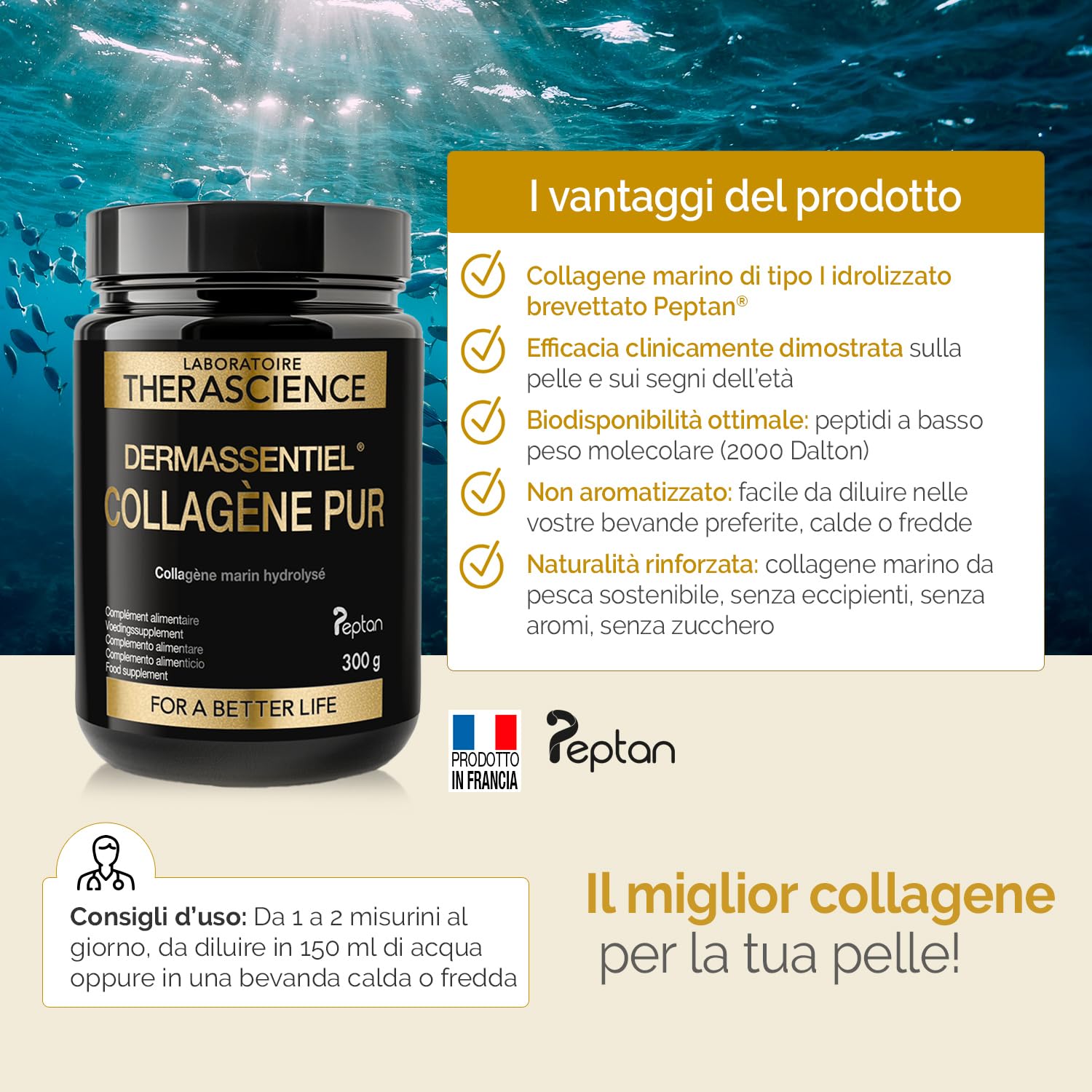 DERMASSENTIEL COLLAGENE PUR | Rimpolpa e Rassoda | Cura 50 giorni | Collagene marino idrolizzato Peptan® brevettato | Peptidi di collagene tipo I, efficacia clinica | Laboratoire THERASCIENCE
