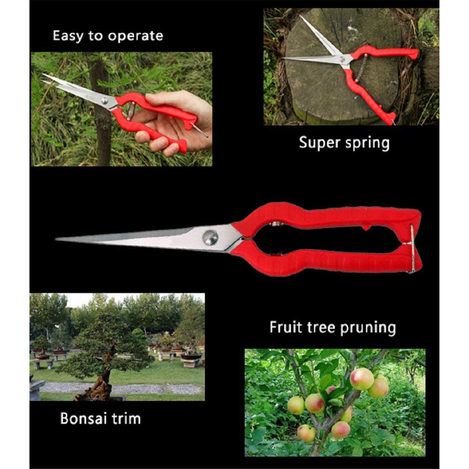 Cesoie da potatura, Forbici per rifinitura Bonsai in Acciaio Inossidabile, Cesoie da Giardino con Bordo Extra Lungo, Strumento per potatura Bonsai, per Alberi da frutto, Piante in Vaso
