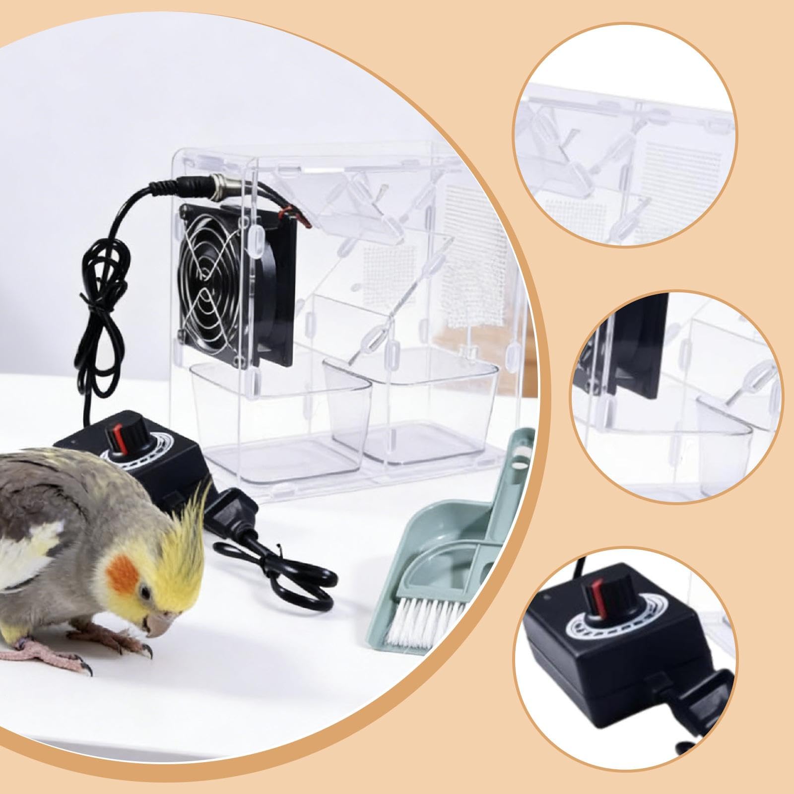 Machine de soufflage de Grains pour Oiseaux, séparateur de Polyvalent pour Aliments pour Oiseaux, avec Pelle