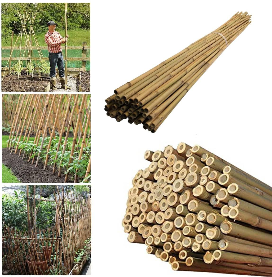 Bamboo Canes 6ft Heavy Duty Professional Garden Stakes for Plant Support Durable 100% Natural Indoor & Outdoor Plants Stakes (10, 6FT)