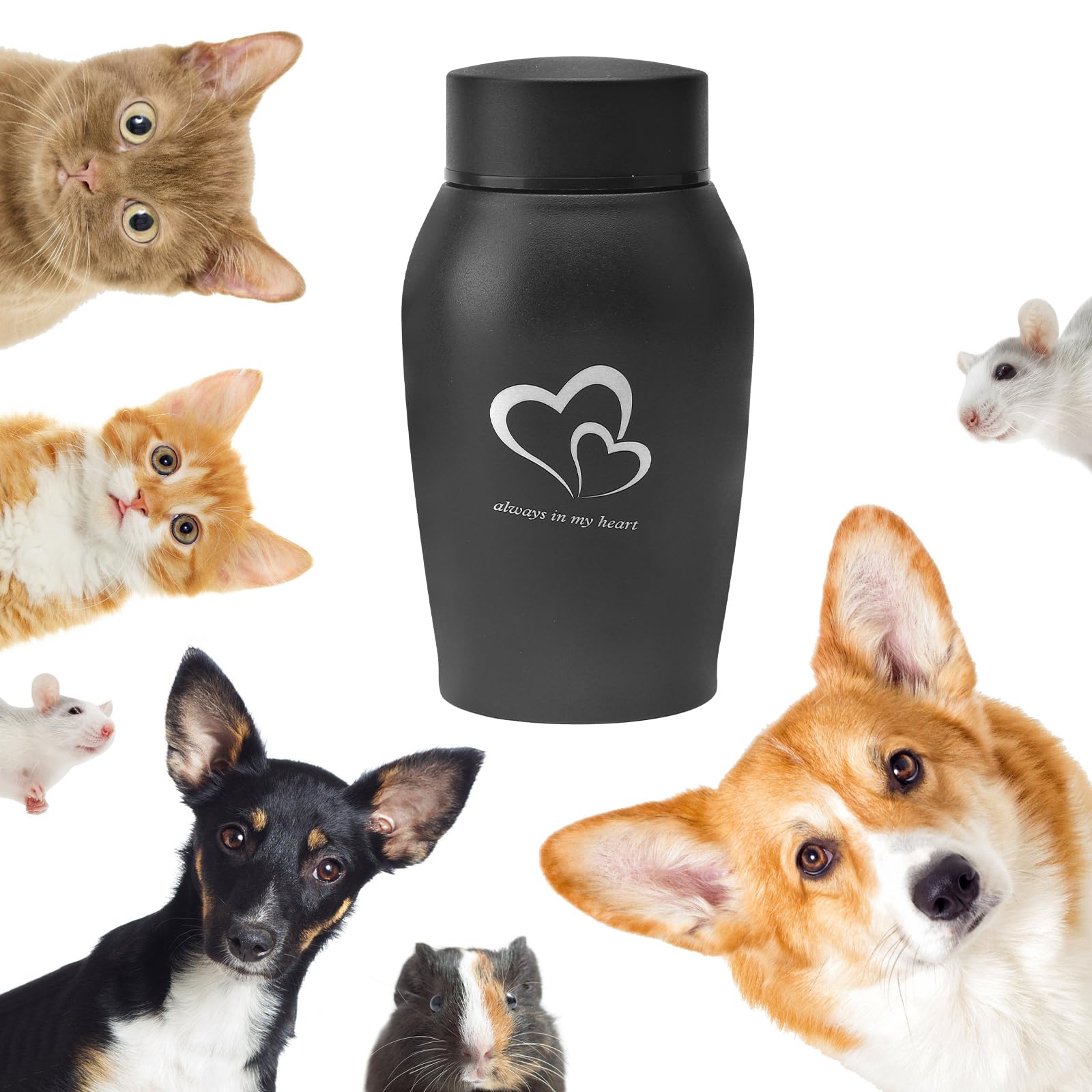 Urna per cani e gatti, urna in acciaio inox con penna
