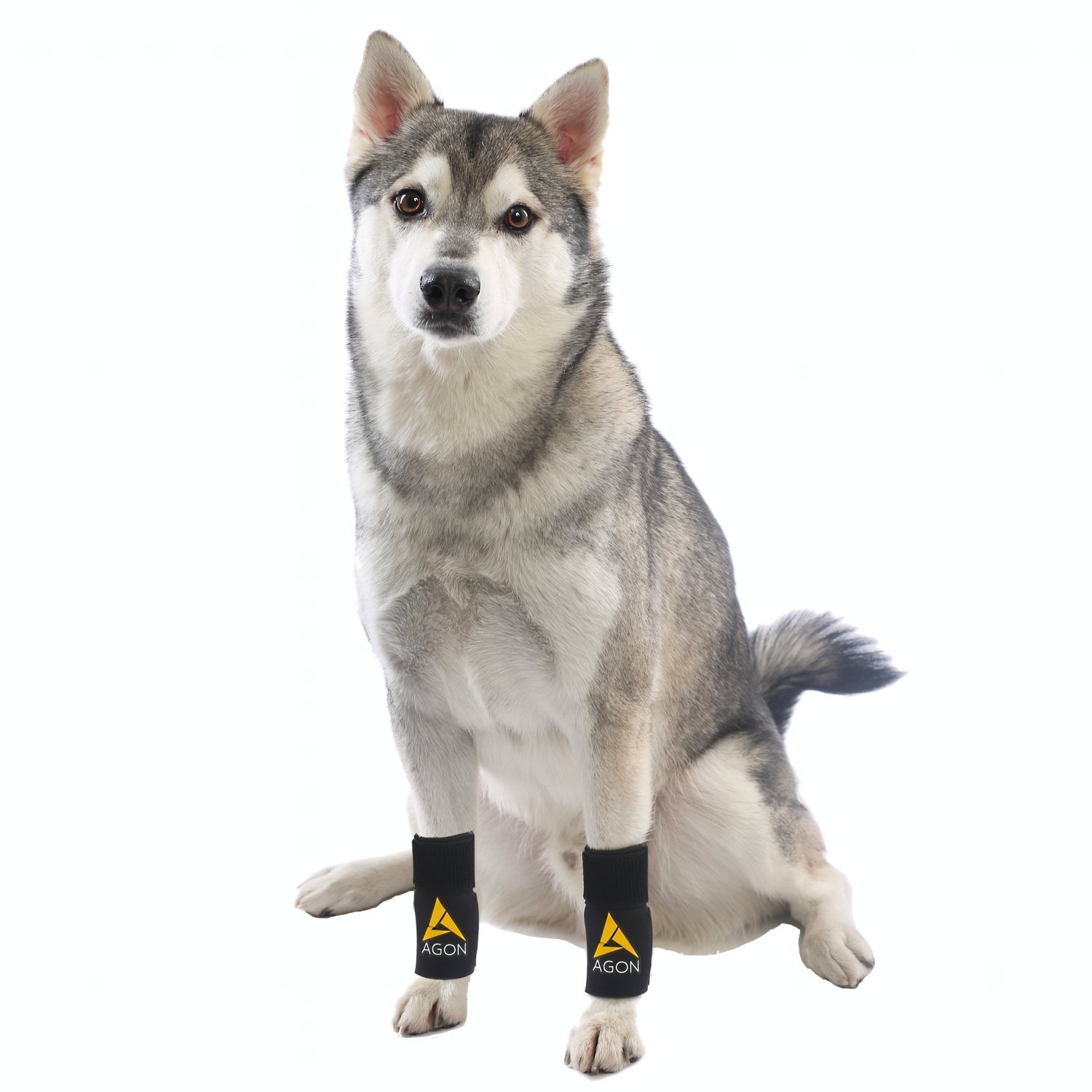petco knee brace