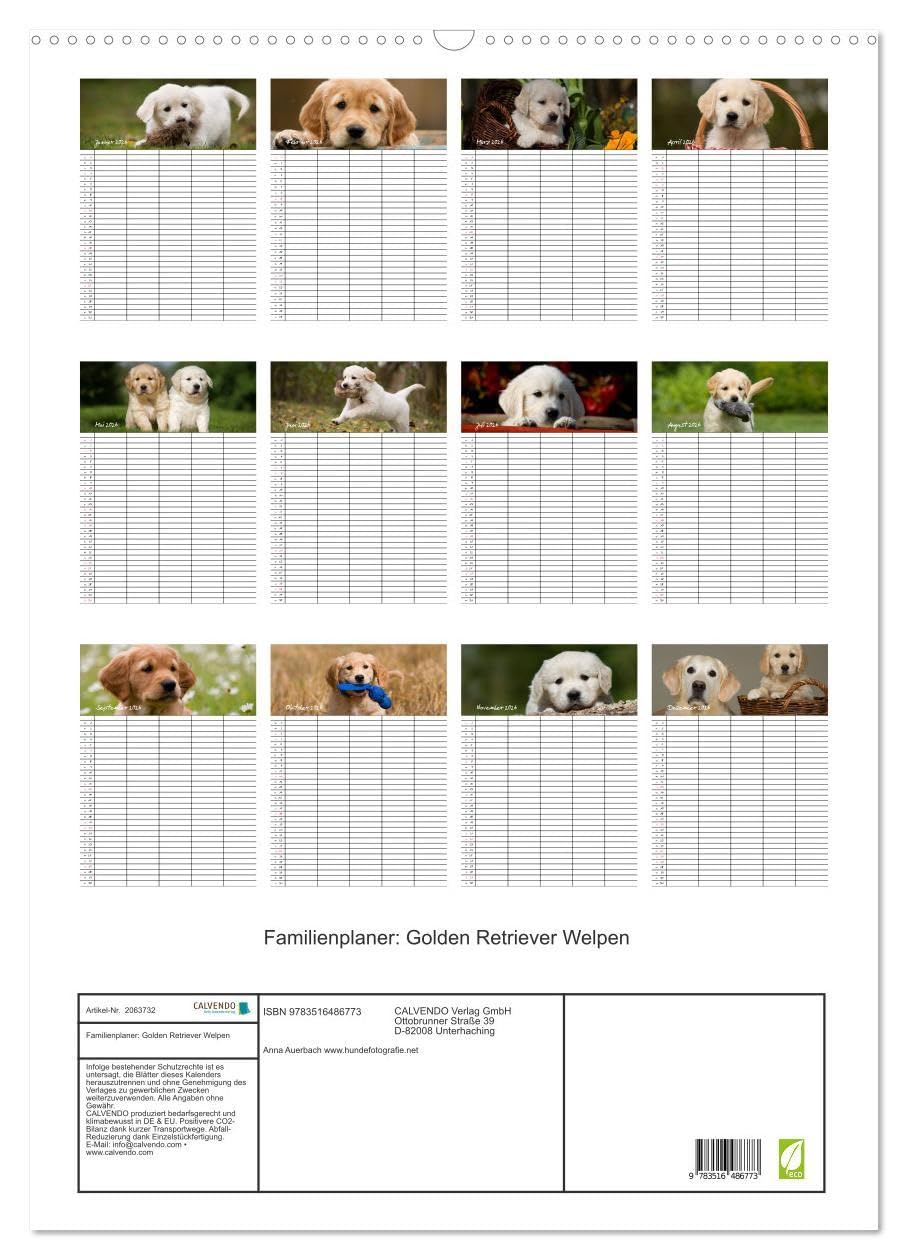 Familienplaner: Golden Retriever Welpen (Wandkalender 2026 DIN A2 hoch), CALVENDO Monatskalender: Dieser Familienplaner mit 5 Spalten wird Ihnen jeden ... Lächeln ins Gesicht zaubern. (CALVENDO Tiere)