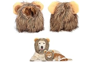 Lion Mane Hat for Kittens