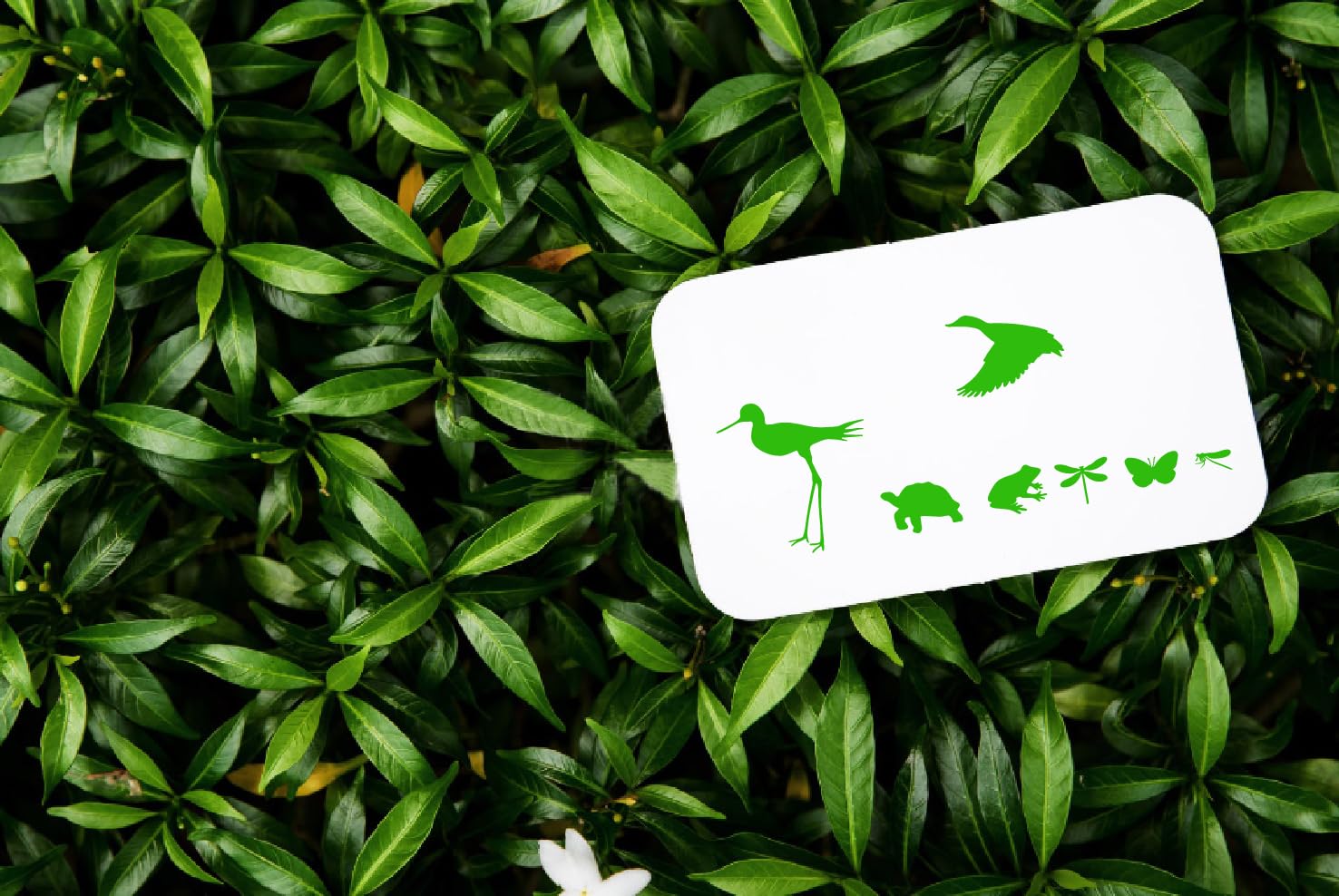 Arbuya Wetlands Clear Stamps - Duck, Heron & Swan Silhouette Stamps For Card Making