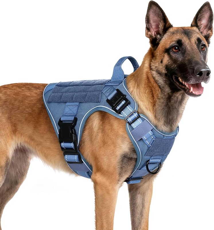 Peitoral Vest Tático para Cães com Design MOLLE e Pontos de Controle rabbitgoo