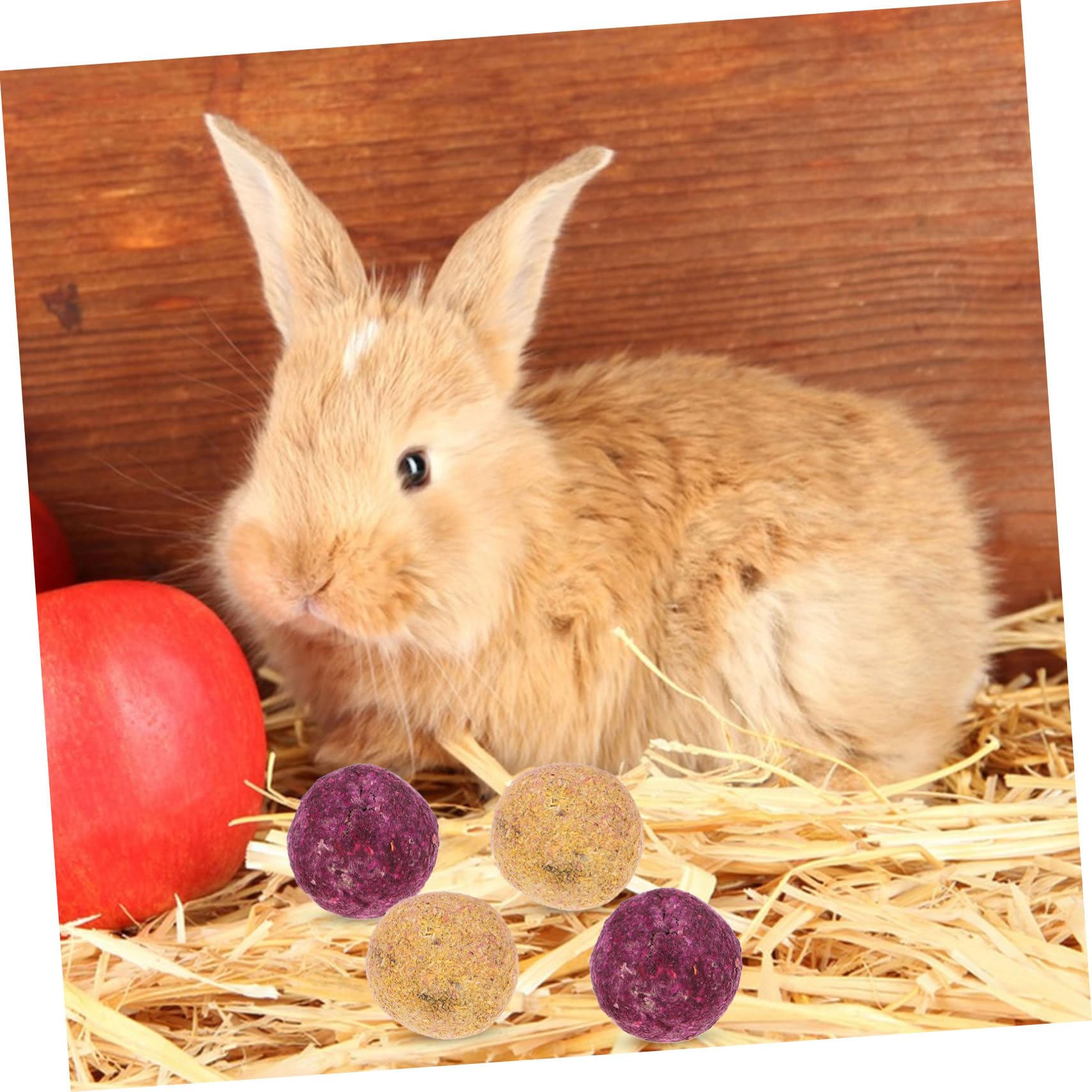 Jouet à Mâcher pour Lapin et Petit Rongeur, Lot 36 Pièces en Plante