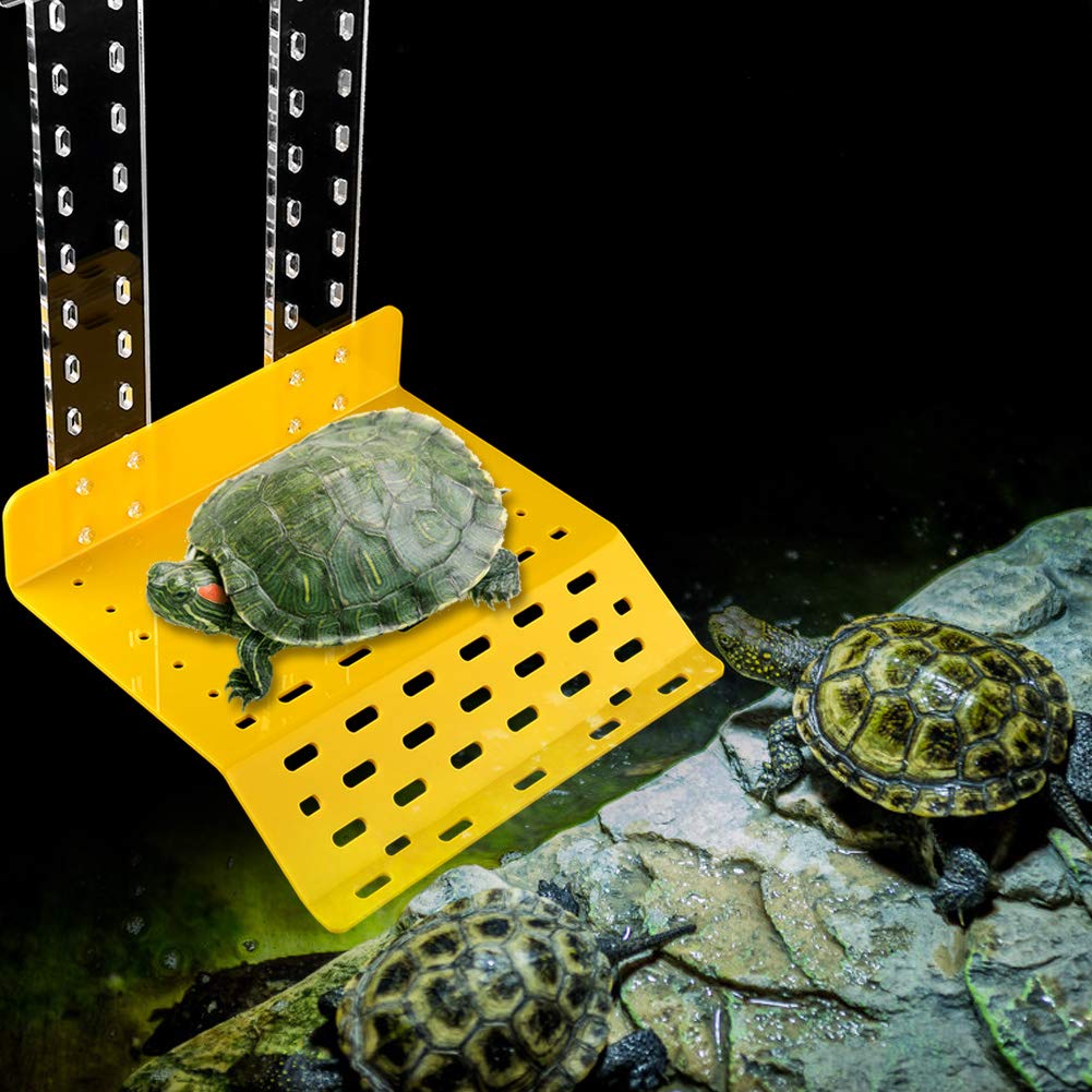 Plate-Forme Flottante pour Tortues pour Éviter le Stress des Reptiles en Bac