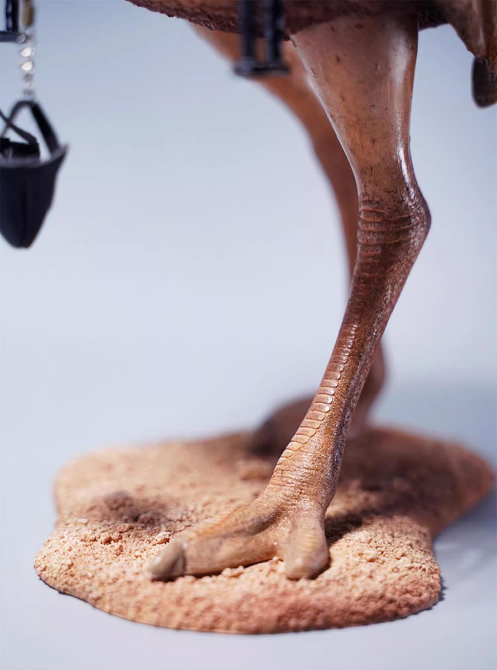 Amazon.co.jp: 1/6ダチョウの彫像の彫刻、シミュレーション動物モデル