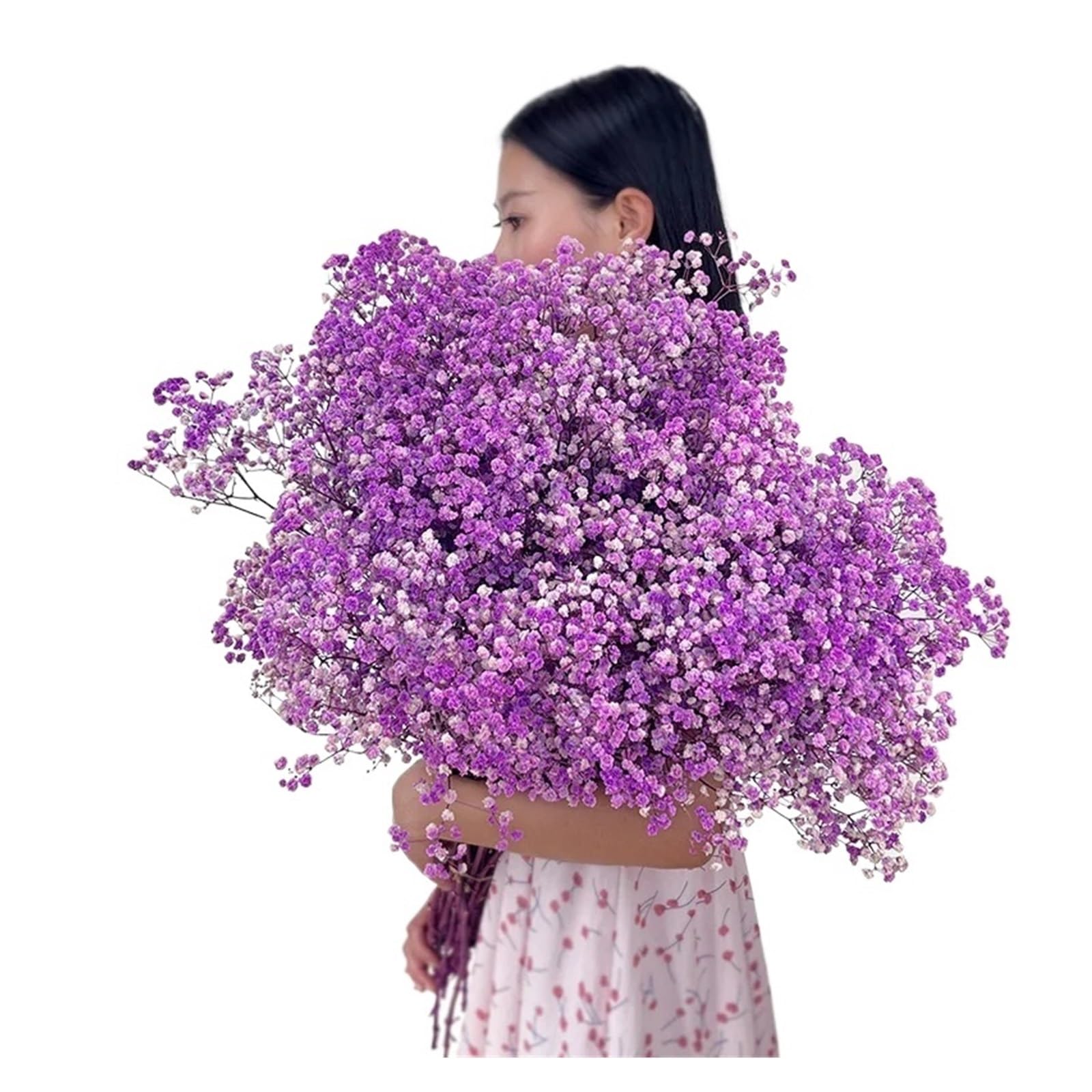 WJIAYAO dried gypsophila flowers Dried Baby Breath Flowers Gypsophila Bouquet Bridal Wedding Decoration Home Decor(PURPLE,50g)