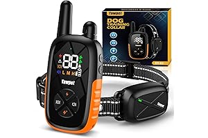 Dog Training Collar- Protect Your Relationship with Best Friend