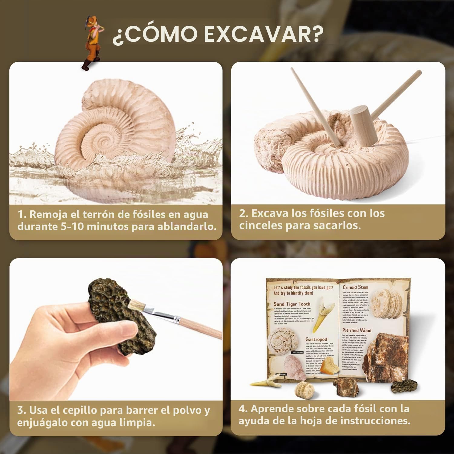 Byncceh Kit de Excavación de Fósiles para Niños – Descubre 12 Fósiles Auténticos en 1 Gran Bloque de Yeso | Juego Educativo Stem para Niños de 6 a 12 Años Pequeños Exploradores