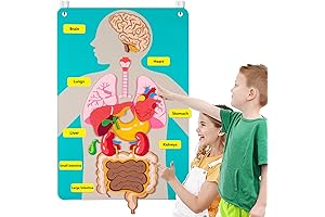 Teach Kids Anatomy Fun and Playful with This Felt Board Story Set