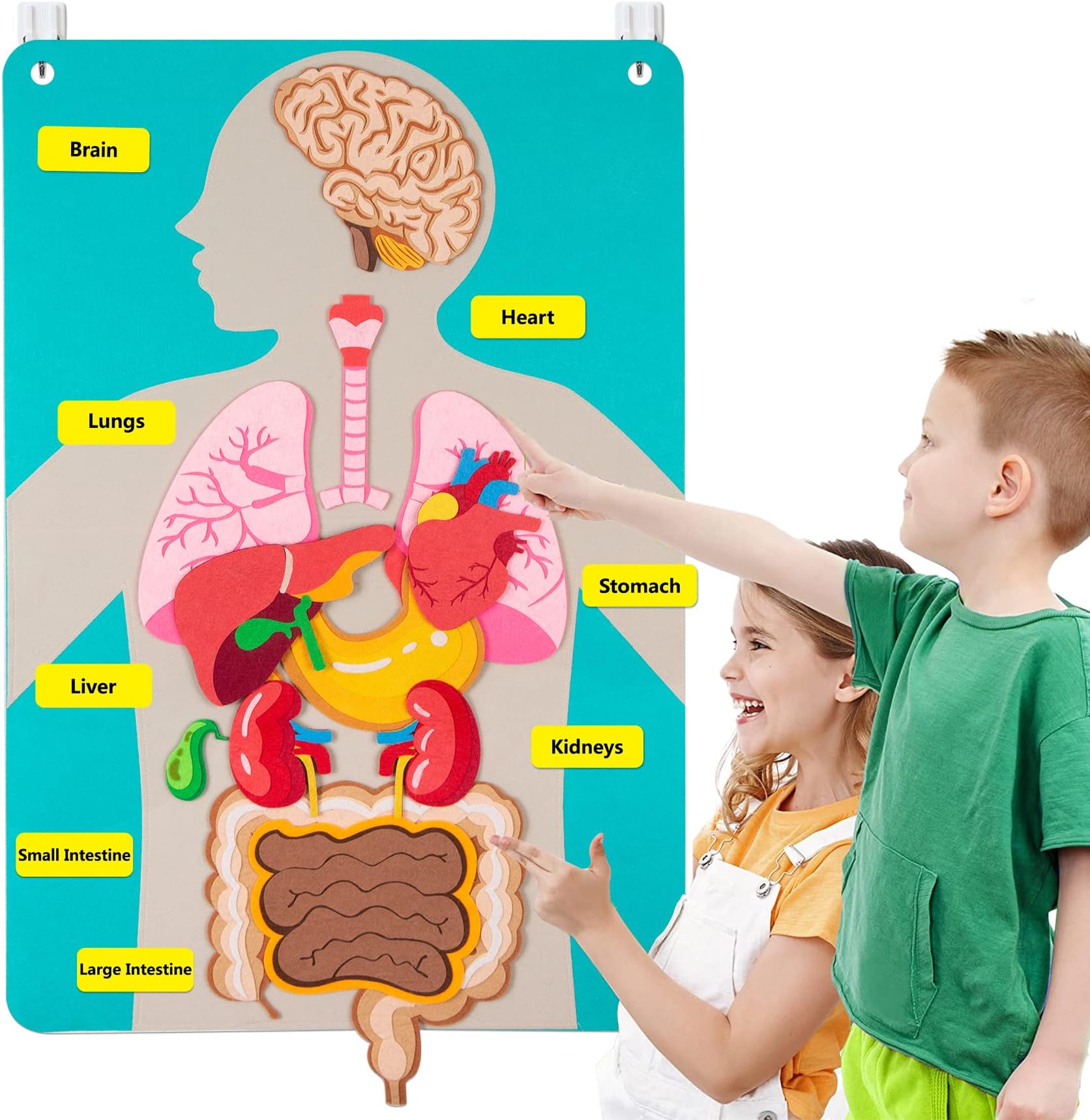 Craftstory Teaching Body Parts Felt Board Stories for Toddlers, Arts Crafts Toys for Kids Sensory Activities Teacher Daycare Supplies