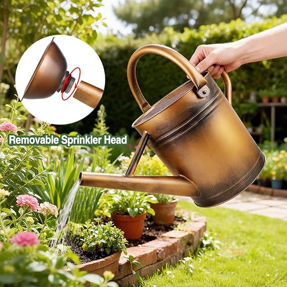 Metal Watering Can with Removable Spout, Galvanized Steel Plants Water Can for Women, Men and Kids' Outdoor or Indoor Gardening - Nice Flower Watering Pot Gift & Decoration (Bronze, 0.6 Gallon)