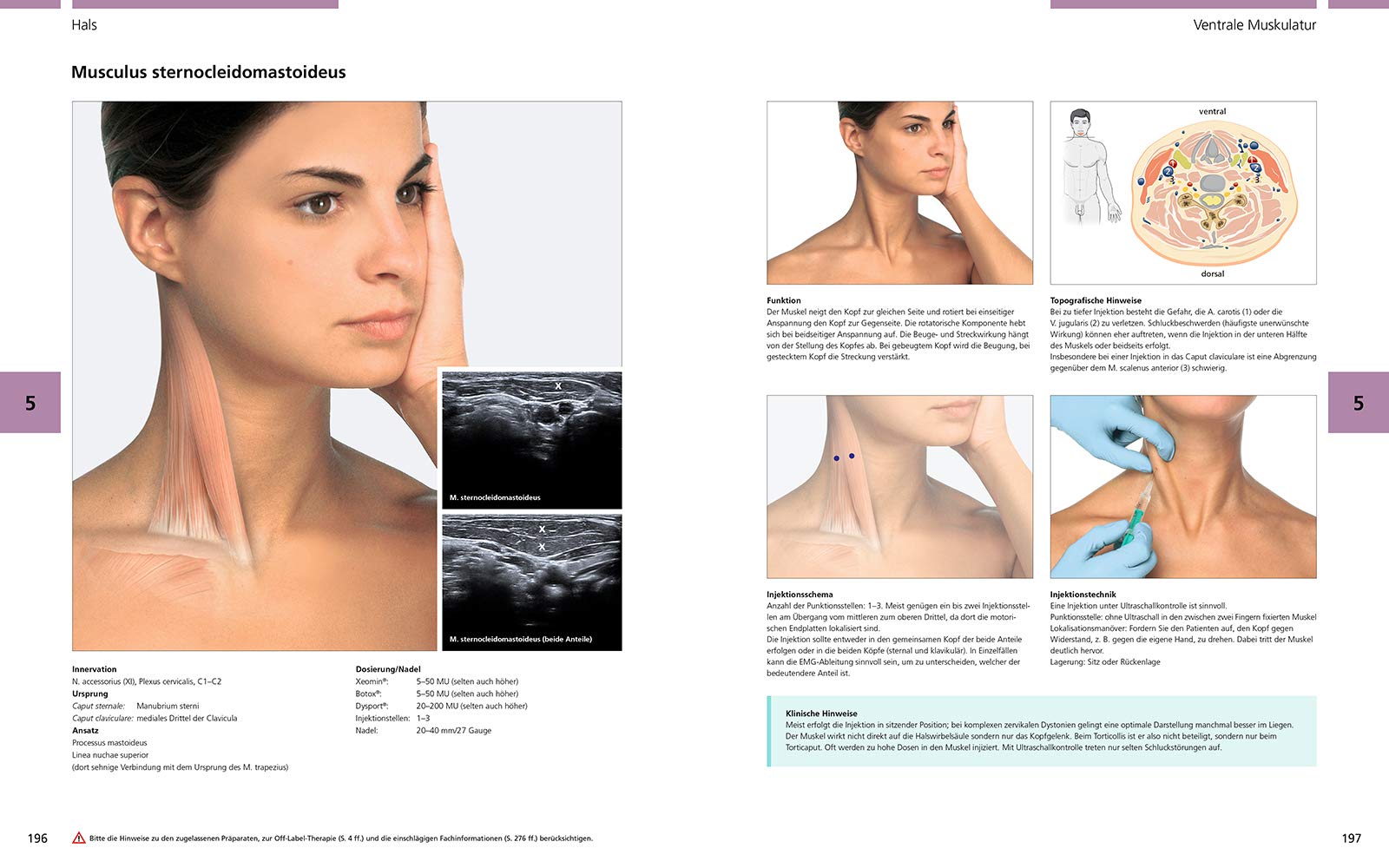 Atlas der Botulinumtoxin-Injektion: Dosierung | Lokalisation | Anwendung