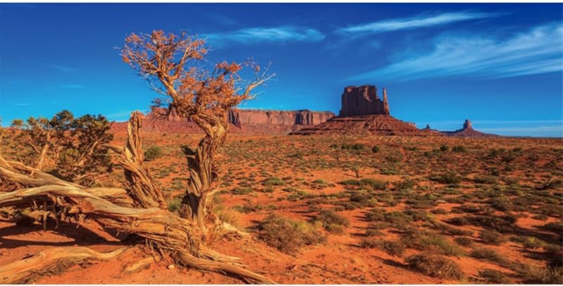 Fundo para Aquário e Terrário Deserto Laranja AWERT 121,92 x 60,96 cm