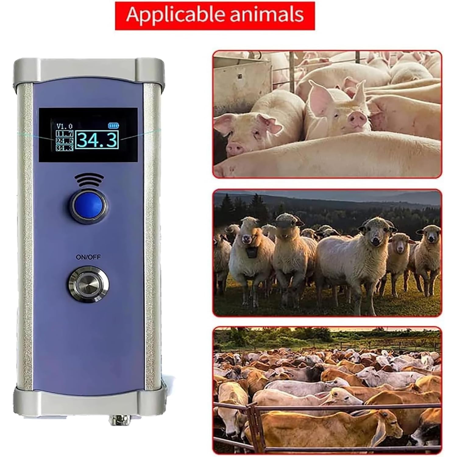 Analizator tkanki tłuszczowej dla świń, zakres pomiarowy 4-40 mm, przenośny tester grubości tkanki chlewnej, bezpieczny i nieinwazyjny, wyświetlacz LCD 1,3 cala, do gospodarstw rolnych