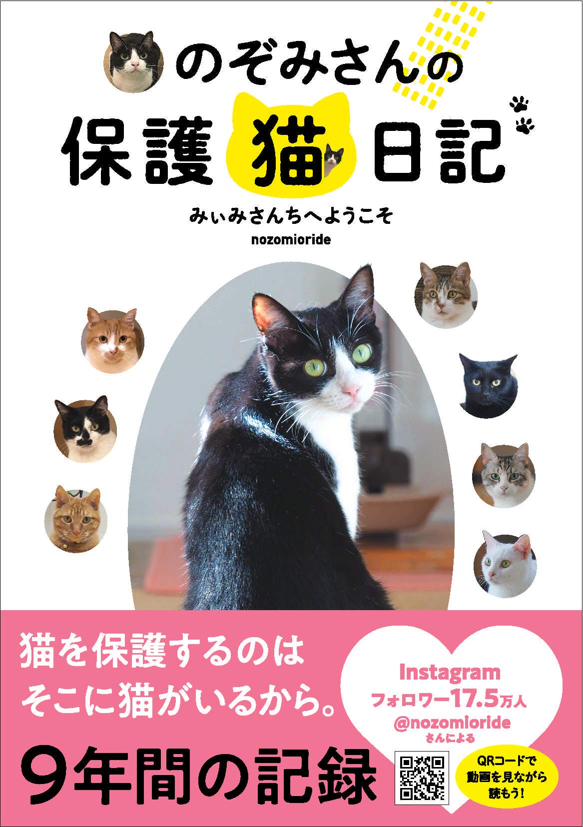 のぞみさんの保護猫日記 | nozomioride |本 | 通販 | Amazon