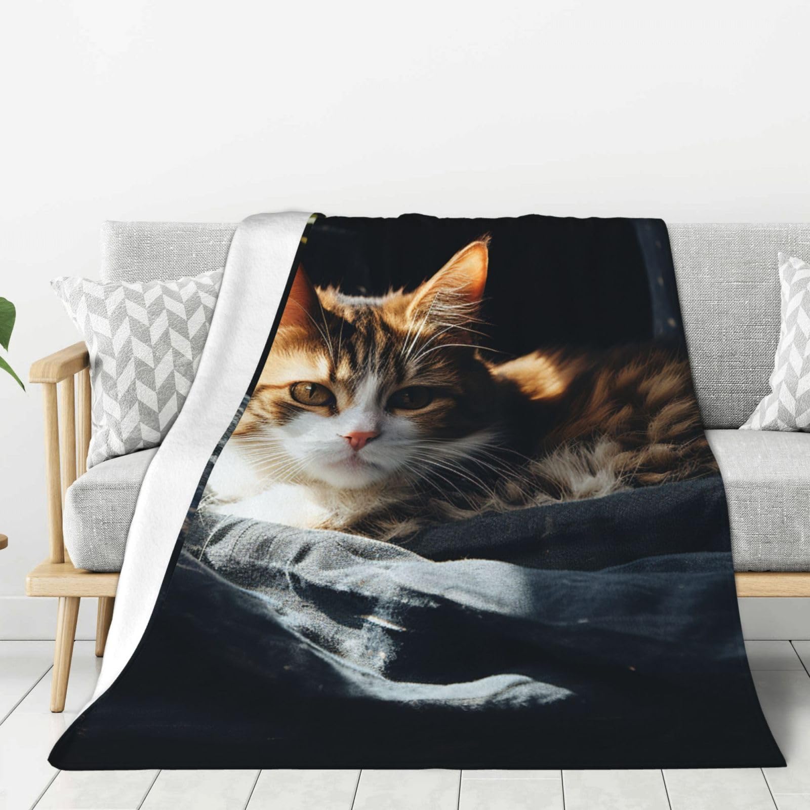 Resting Cat Throw Blanket Plush Flannel Fleece Blanket, Soft Lightweight Cozy Blankets 50"X40" for Bed Couch Sofa Travel