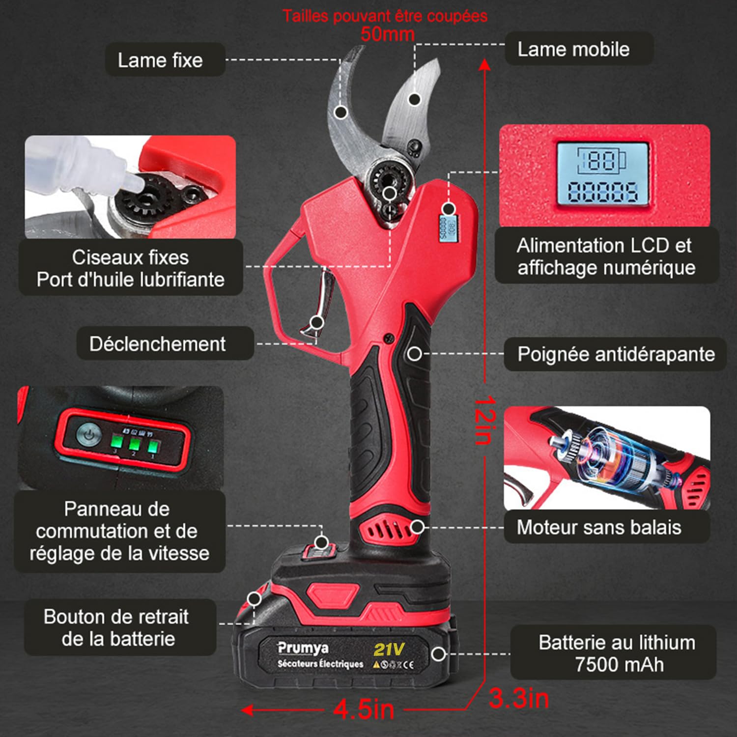 Silverline, Sega E Forbice da Potatura con Manico Telescopico