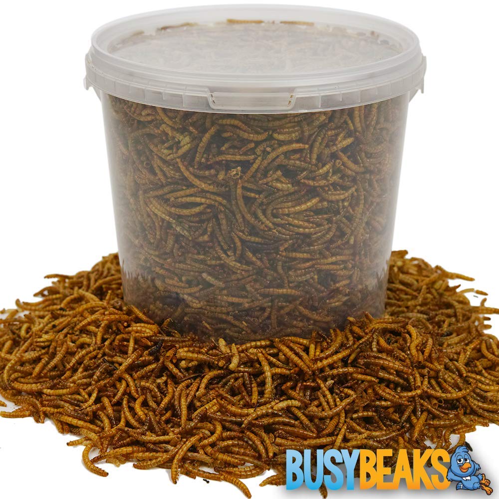 BusyBeaks Dried Mealworms | Premium Garden Wild Bird Food Mix Balanced Formula | Protein-Rich, Great Source of Energy | Contains Beneficial Mixed Vitamins | Large Variety (1L)
