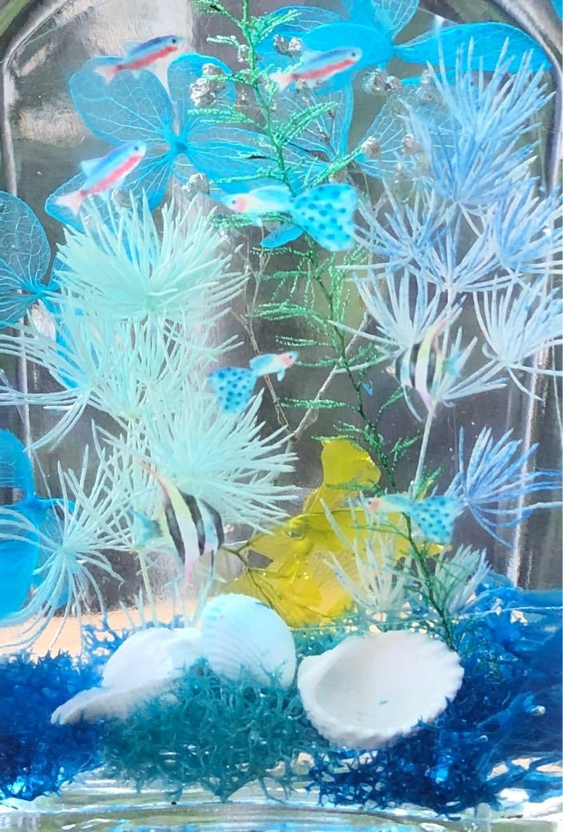 Amazon.co.jp: 熱帯魚 魚 海 夏 南国 ブルー サマー 水族館 ハー 