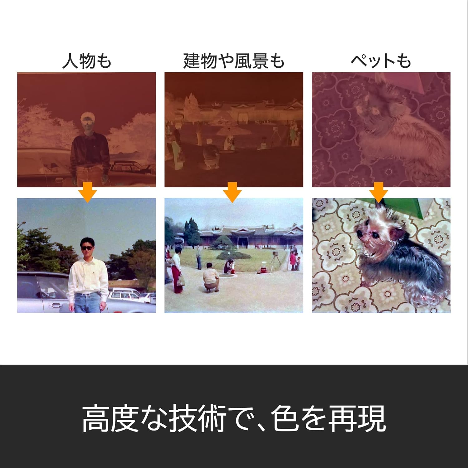 Amazon Co Jp 復活 ネガフィルム ダウンロード版 Pcソフト Amazon Co Jp 復活 ネガフィルム ダウンロード版 Pcソフト