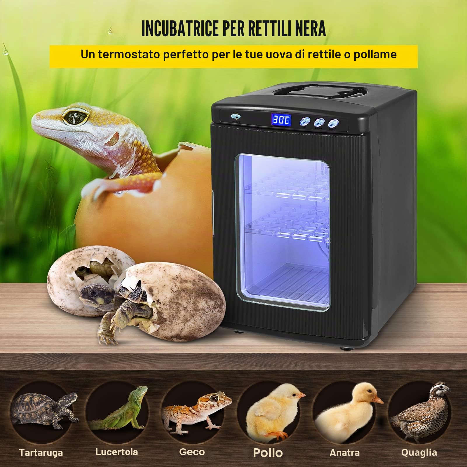 Incubatrice 5°-60°C (36-140°F), 25L, Automatica covatrice con Temperatura costante per rettili o Anfibi