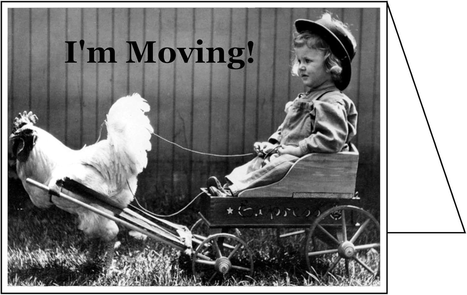 Flashcards Change of Address GREETING CARDS, I'm Moving! (Pack of 30 Cards & 30 Envelopes) Moving Announcements FN4273CAS-30