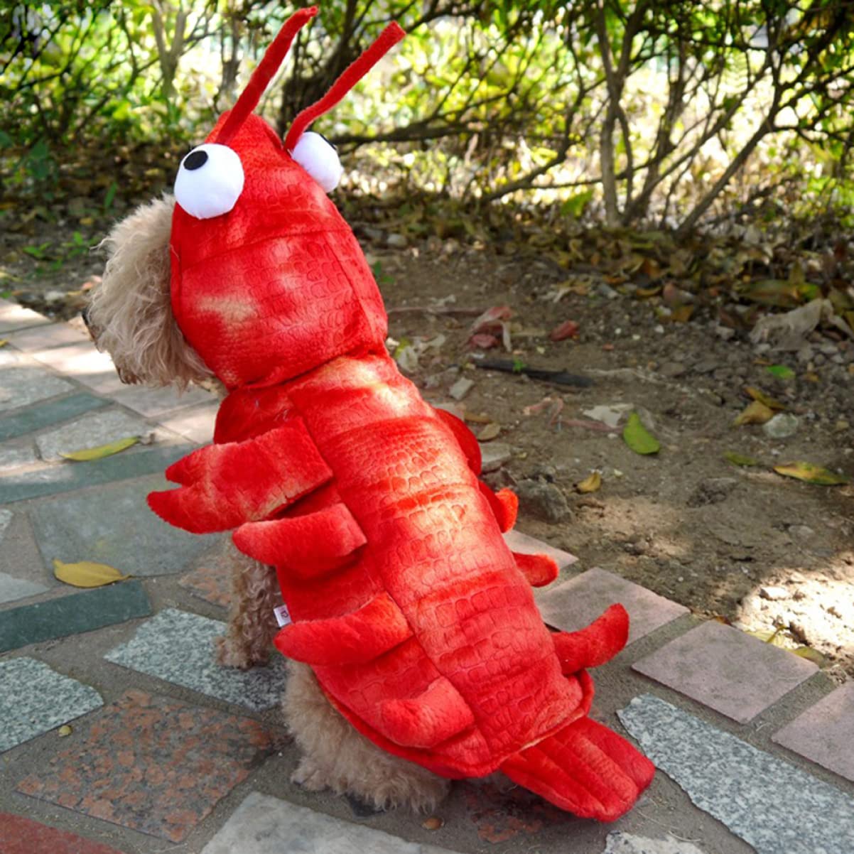 BESPORTBLE 2 Pz riscaldare i vestiti dell'animale domestico divertente costume da cane vestito per cani abbigliamento cane vestitino cane vestito cane vestiti casual per cani vestiti per cani