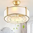 DWVO 18" Crystal Caged Ceiling Fans with Lights Enclosed Modern Ceiling Fan with Remote Control Reversible Industrial Fandelier Chandelier 3 Speeds,3 Color Temperatures for Bedroom, Indoor (Gold)