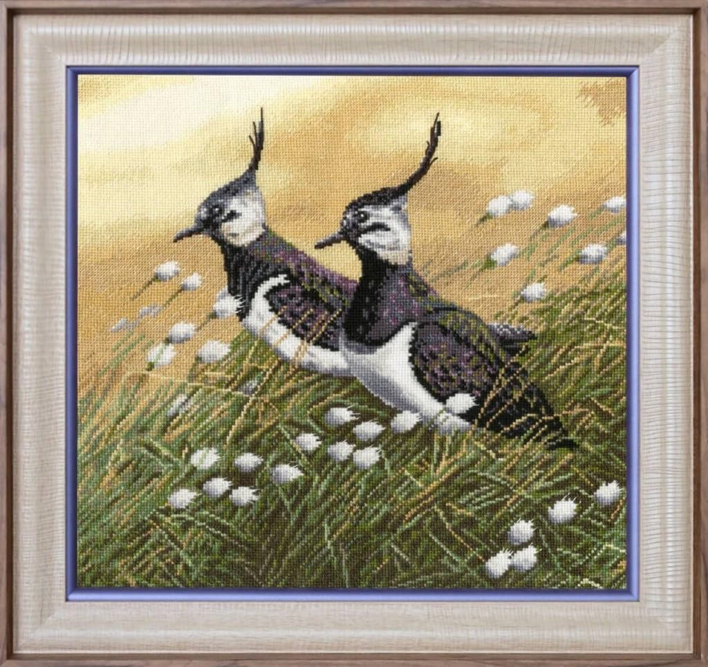 BeldizartSiuvinÄ—jimo rinkinys S/Z058