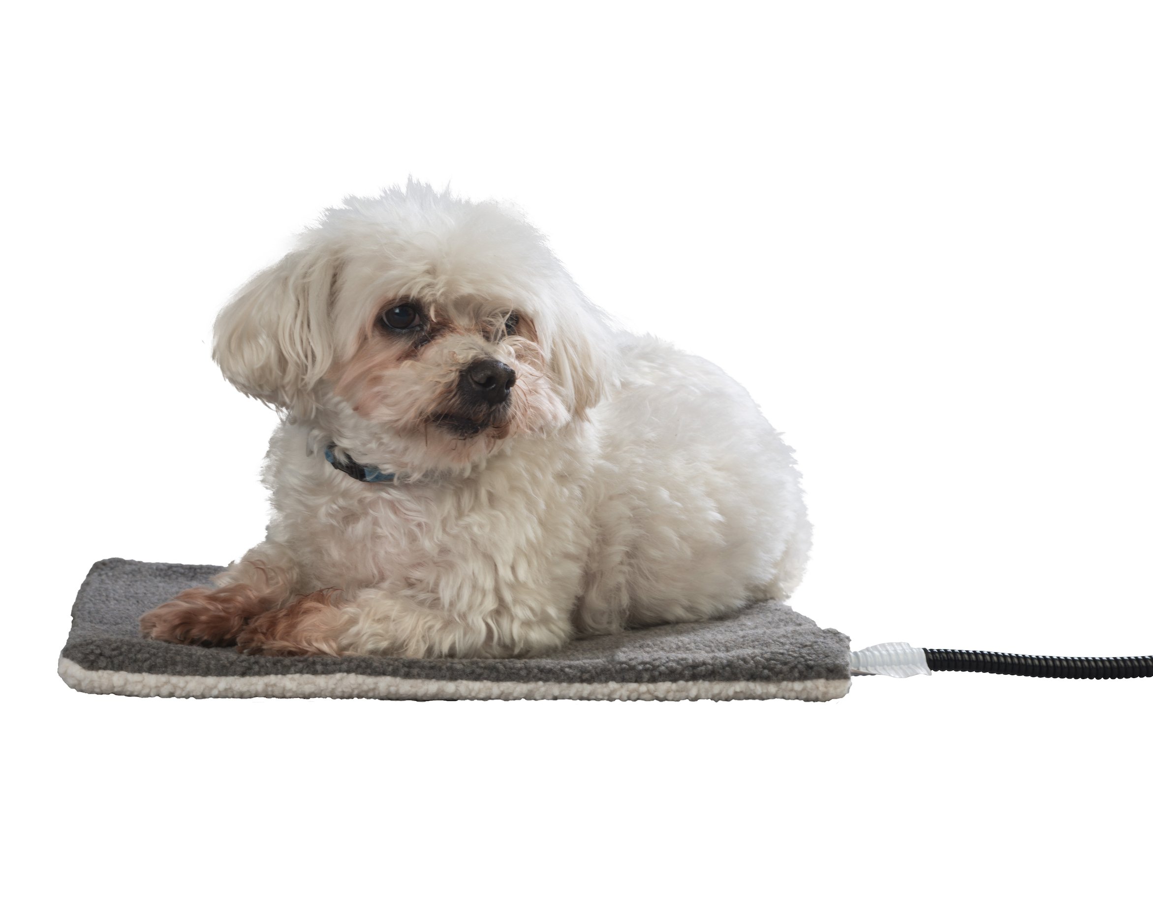 Tappetino Riscaldante Per Animali Bimar HI.PET - 30x40cm, 12V, Fodera Lavabile, Per Cani E Gatti - Foto 4