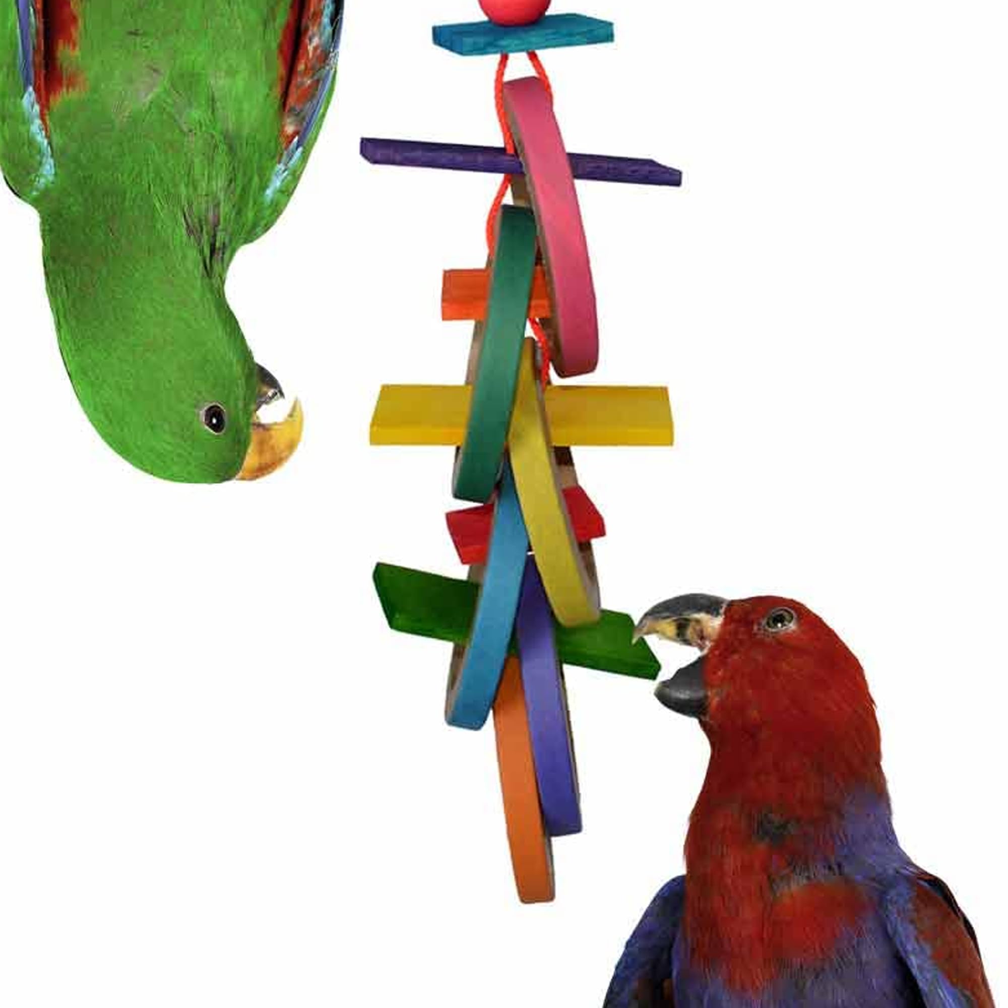 Super Bird Creations SB625 Olympic Rings Bird Toy, Large Bird Size, 15” x 4” x 4”