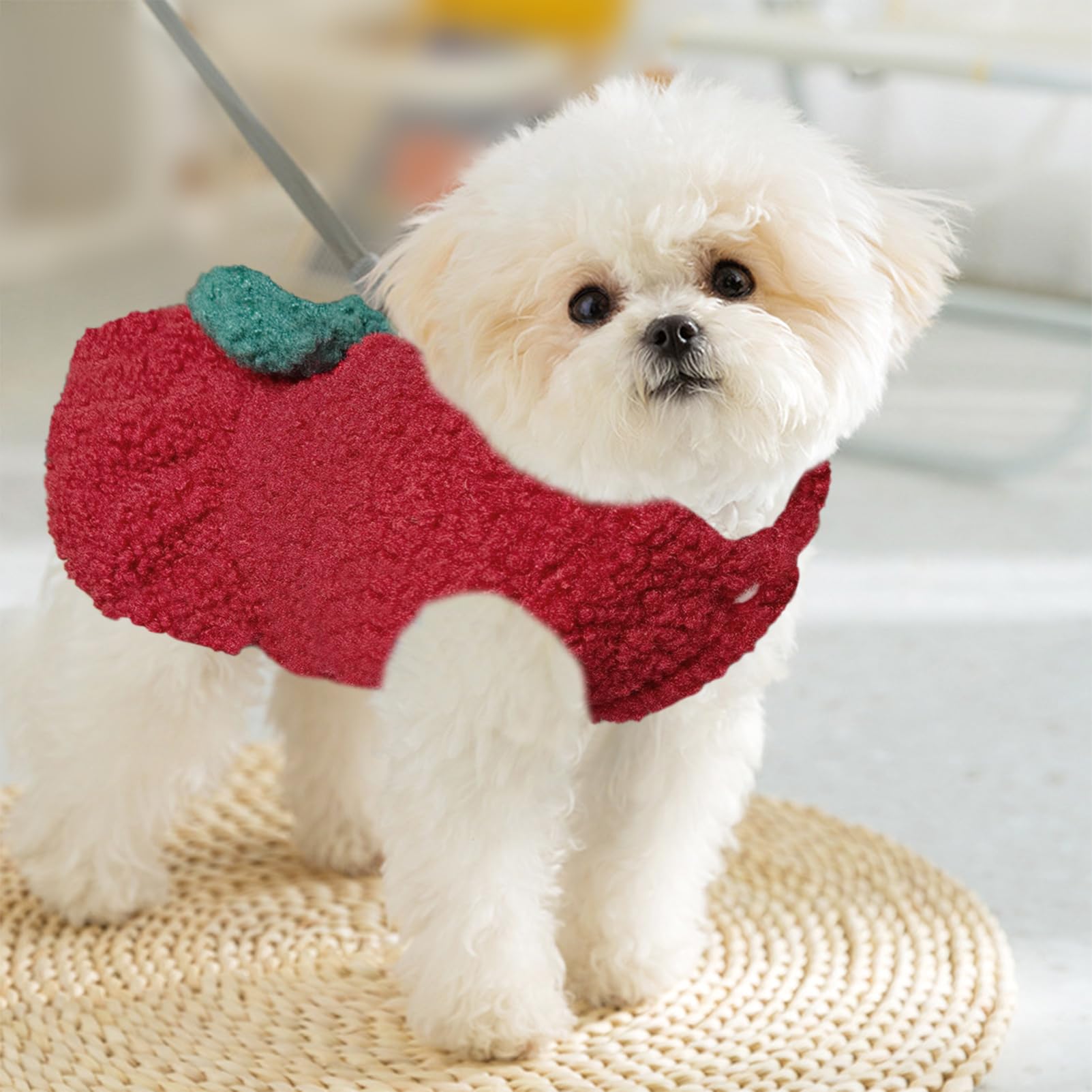 Jecikelon Hundepullover mit Fliege, für den Winter, warme Welpenkleidung für kleine Hunde, D-Ring, Haustierkleidung, Größe S, Rot