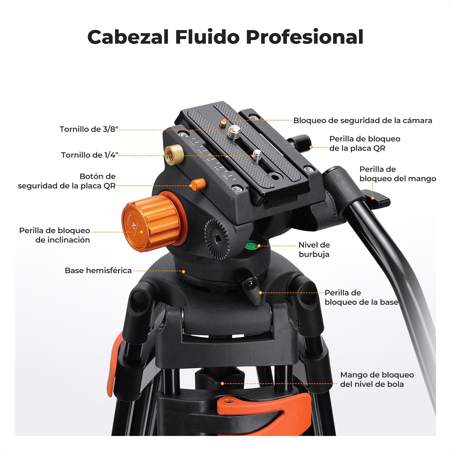 K&F CONCEPT Trípode Vídeo 202cm Tripode Proyector con Cabezal Fluido, Trípode Cámara de Aluminio de Alta Resistencia con Amortiguación de Fricción Suave para DSLR, Video cámara, Carga Máxima 8kg