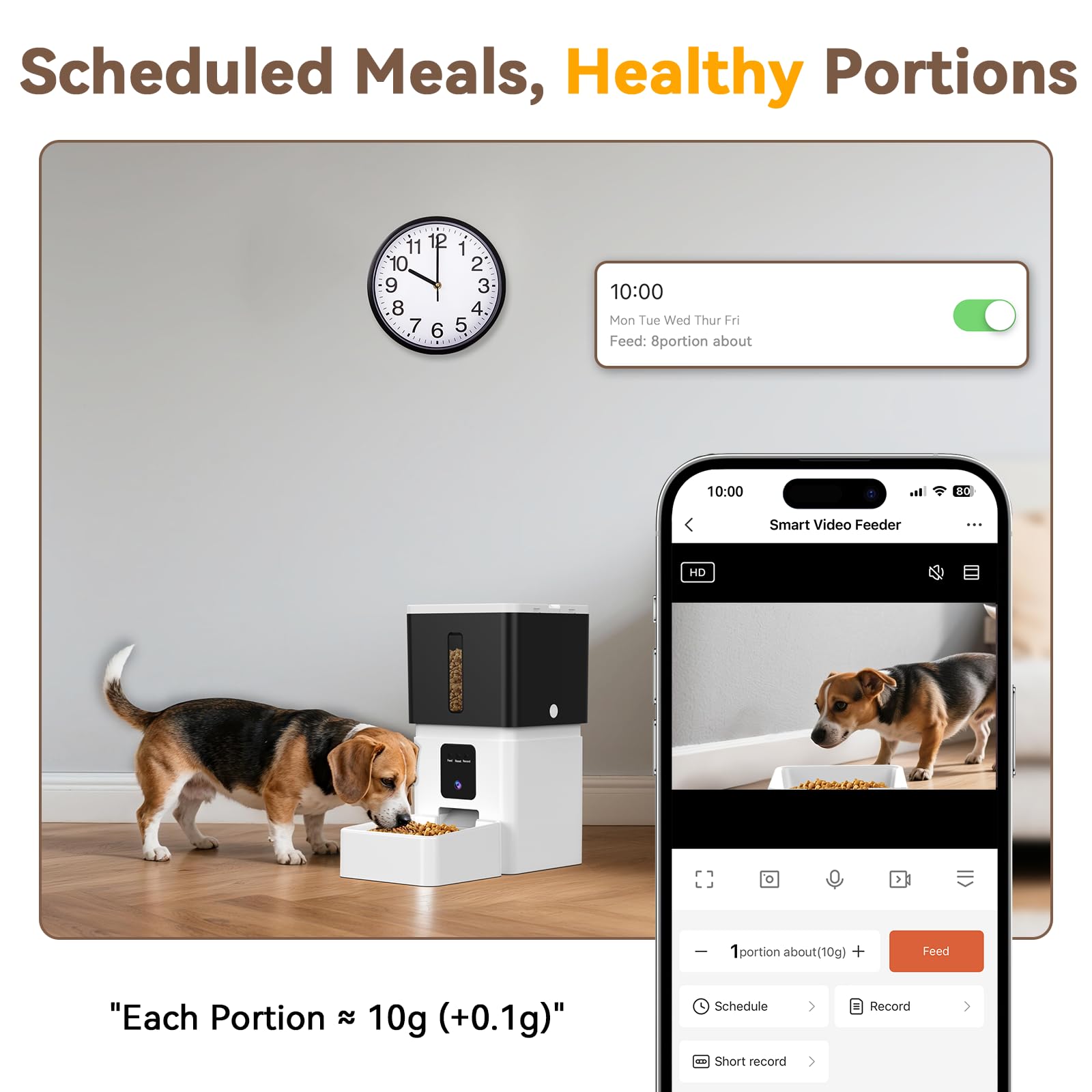 UTCG Comedero automático para perros con cámara: 8L/33 tazas 5G WiFi temporizador dispensador de alimentos para perros medianos – 1080P HD visión nocturna grabación de video 2 vías audio APP control