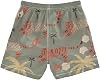 Short de baño para niño, verano, con cordón, talla L, Tigres Durmientes 5