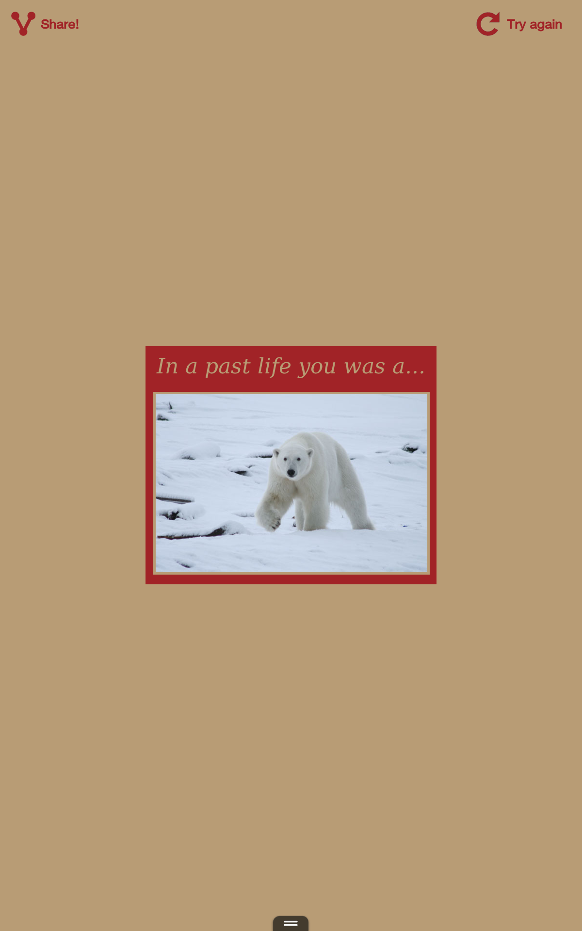 Past Life Finger Scanner - App on the Amazon Appstore