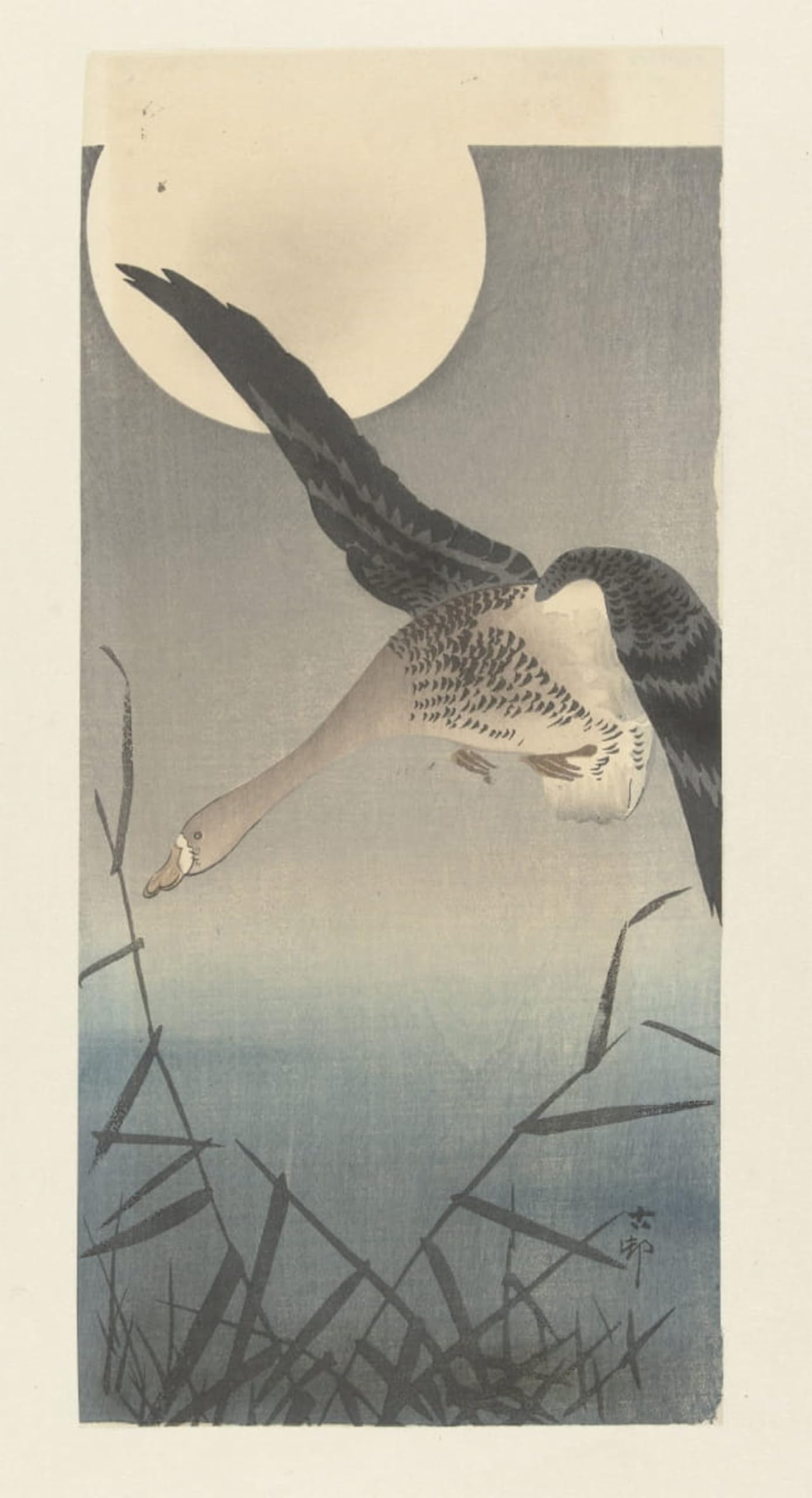 ARTXLXXBN Famous Art Print Poster Vintage Wall Art Bald on Branch by Ohara Koson Canvas Art Poster for Home Decor 60x90cm