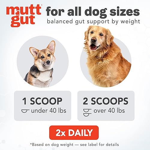 Miniatura 5 de Suplemento en polvo 3 en 1 totalmente natural para perros, prebióticos y posbióticos, probióticos para perros con 135 mil millones de UFC,