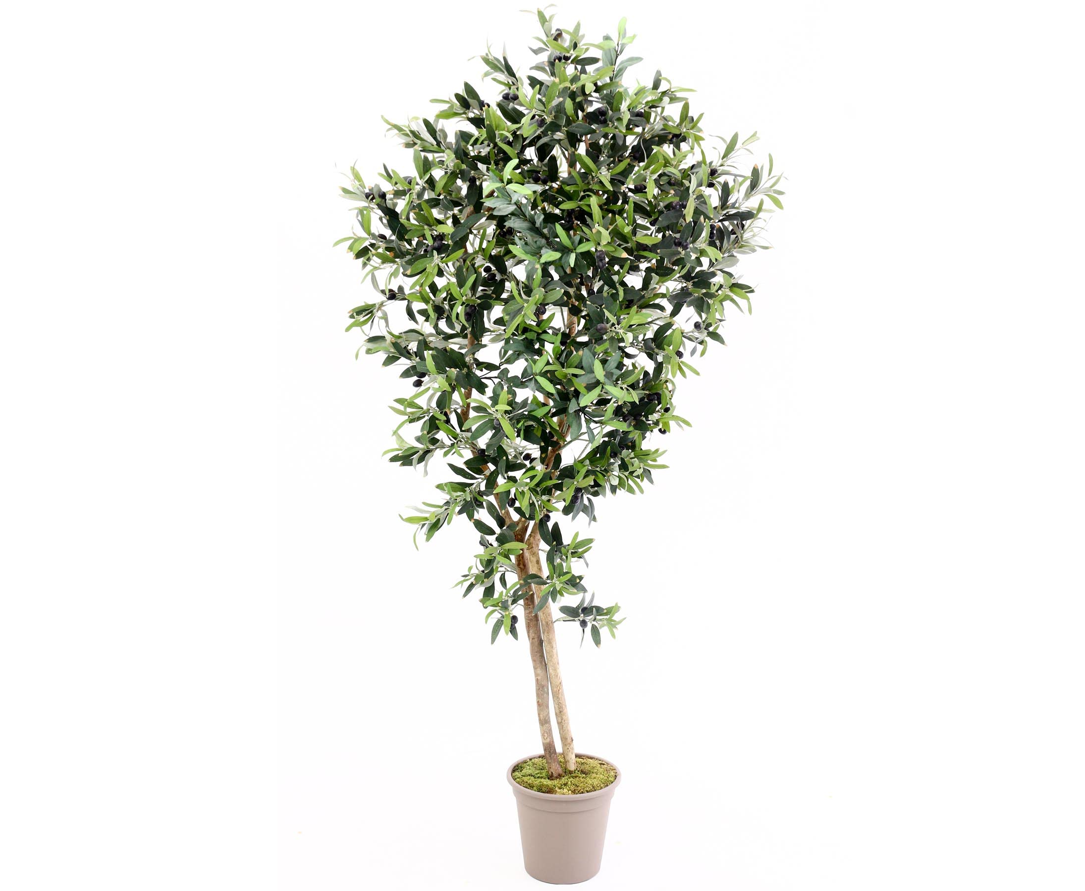Amazon.de: kunstpflanzen-Discount.com Oliven Kunstbaum 200cm mit 3456  Textilfaser Bltter und Naturstmme - 2m groer knstlicher Olivenbaum mit  ...
