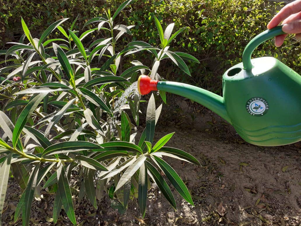 GUUCHUU Plastic Green Watering Can for Plants/Garden/with Sprayer (2 Liters) (B08L78FR6C) Amazon Price History, Amazon Price Tracker
